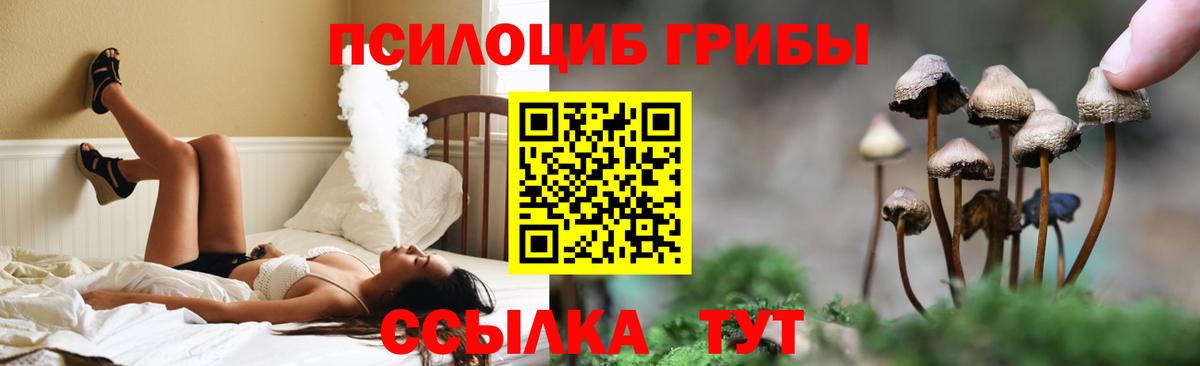 Ефремов  Псилоцибиновые грибы прущие грибы  Вход с VPN 